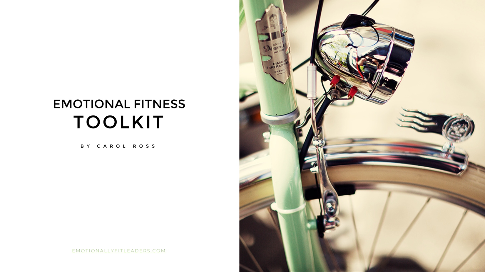 Emotional Fitness Toolkit 2020